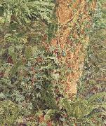 Albert Joseph Moore,ARWS Study of an Ash Trunk (mk46) Spain oil painting artist